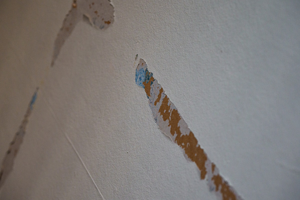 Basement Water Removal service in Mission, TX